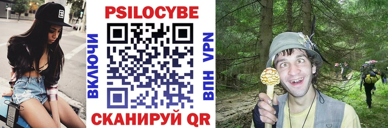 OMG маркетплейс  Чернушка  Галлюциногенные грибы Psilocybe 